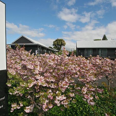 16 Northgate Motor Lodge New Plymouth Ngoại thất bức ảnh